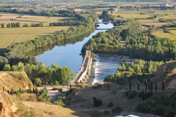 Toro, Zamora, Palacio Rejadorada